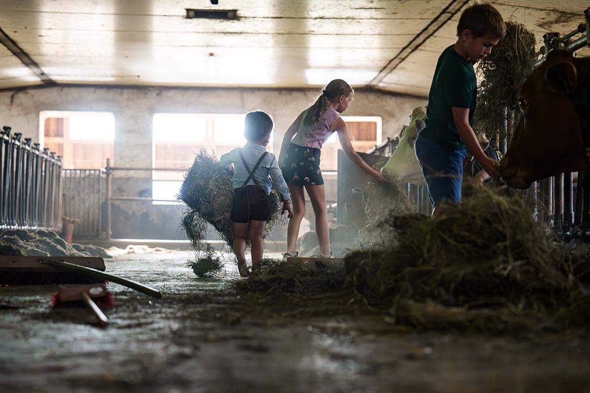 Stallarbeit am Bauernhof in Altenmarkt-Zauchensee - Urlaub im Salzburger Land, Erlebnisbauernhöfe Altenmarkt
