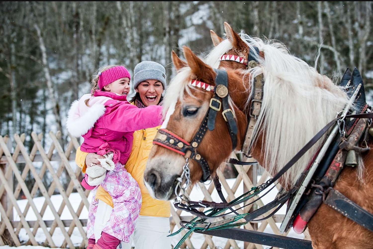 Urlaub mit Kindern am Bauernhof in Altenmarkt - Salzburger Land, Erlebnisbauernhöfe Altenmarkt
