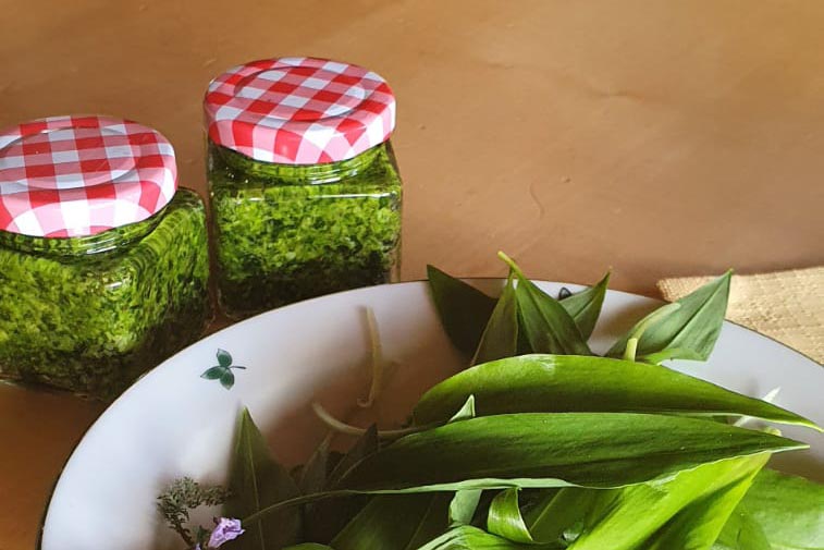 Bärlauch - Regionale Rezepte von Salzburger Bauern - Erlebnisbauernhöfe Altenmarkt