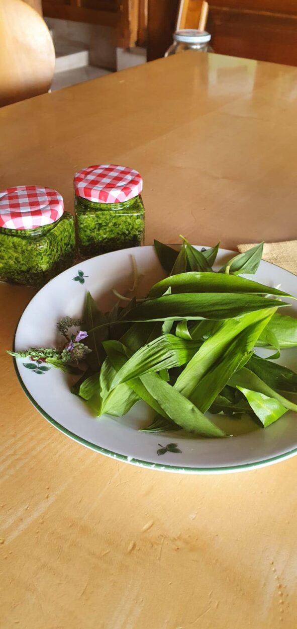 Bärlauch - Regionale Rezepte von Salzburger Bauern - Erlebnisbauernhöfe Altenmarkt