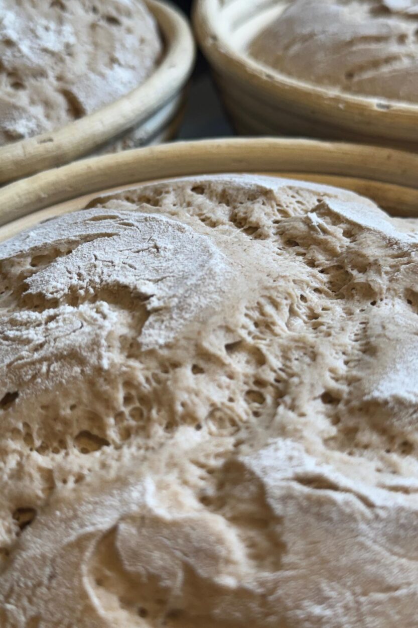 Frisches Bauernbrot - Regionale Rezepte von Salzburger Bauern - Erlebnisbauernhöfe Altenmarkt