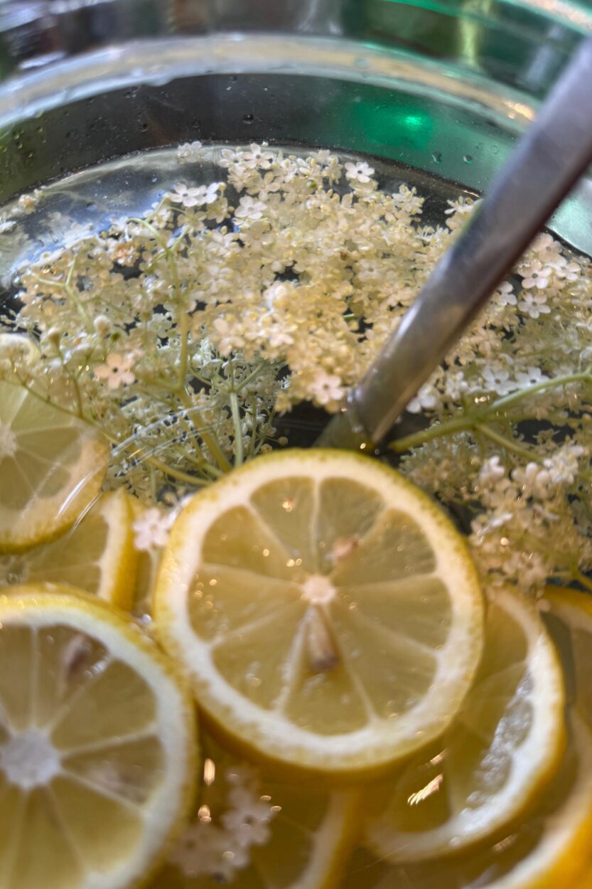 Hollersaft - Regionale Rezepte von Salzburger Bauern - Erlebnisbauernhöfe Altenmarkt