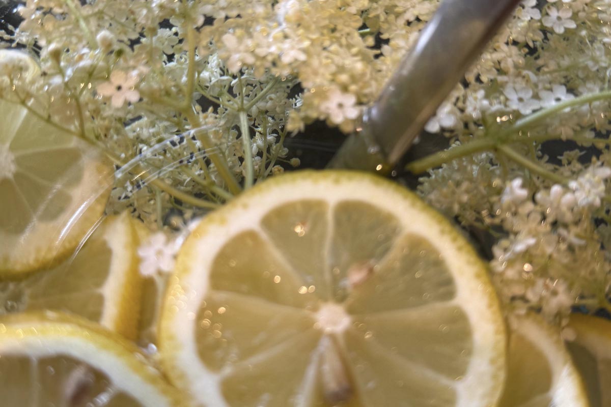 Hollersaft - Regionale Rezepte von Salzburger Bauern - Erlebnisbauernhöfe Altenmarkt