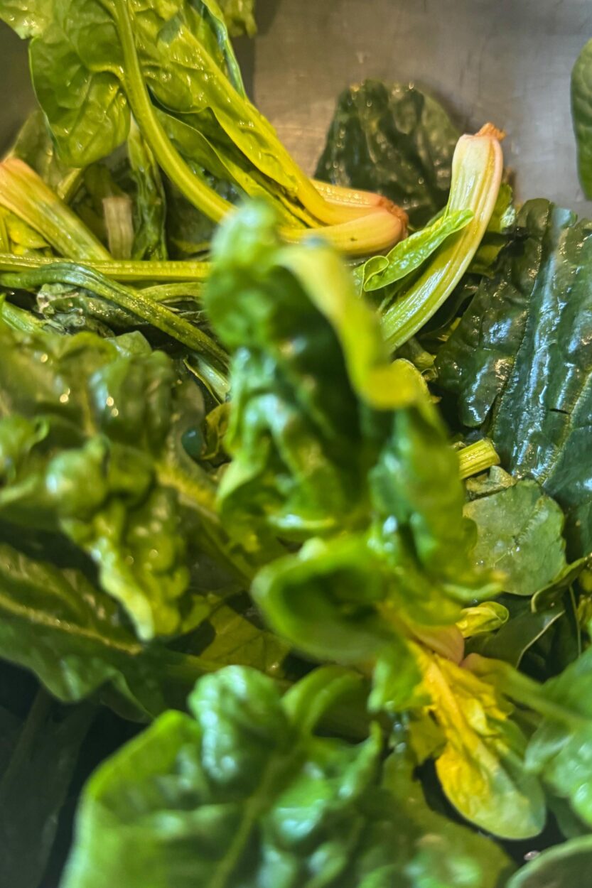 Spinat - Regionale Rezepte von Salzburger Bauern - Erlebnisbauernhöfe Altenmarkt